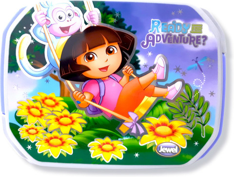 Flipkart.com | Stakipo Dora The Explorer Lunch Box For School