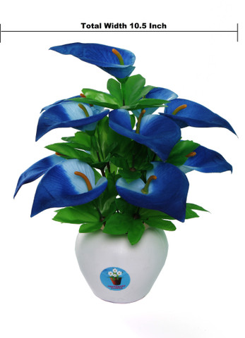 Wild Flower Wild Anthurium flower Bunch Blue Anthurium Artificial Flower  with Pot Price in India - Buy Wild Flower Wild Anthurium flower Bunch Blue  Anthurium Artificial Flower with Pot online at Flipkart.com