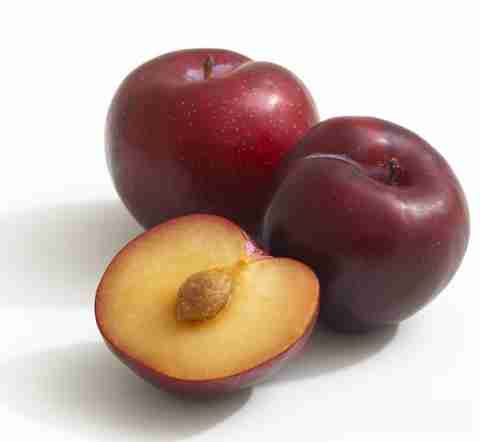 NATIONAL GARDENS Imported Plum Seeds by National Gardens Seed