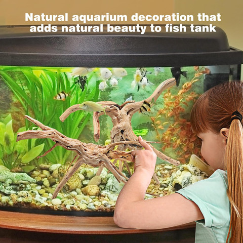 fish tank accessories flipkart PetzLifeworld Aquarium Decorative Artificial 4 inch Small Pl  PetzLifeWorld and aquarium accessories to create a colorful aquatic habitat 5Pcs Betta Fish Tank Accessories,