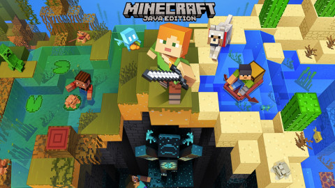Minecraft java and bedrock edition Limited Edition Price in India