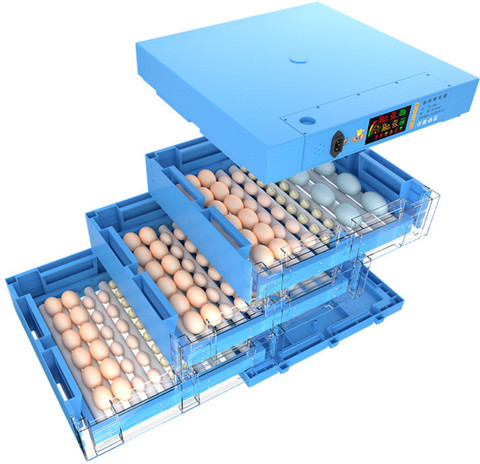 TM&W small size chick egg hatcher 192 capacity egg incubator