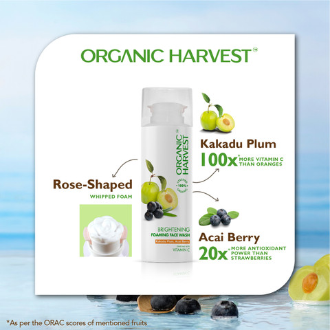 kakao 　N organic Vie kakao N organic Vie NaturaleBio Organic Unsweetened Cacao