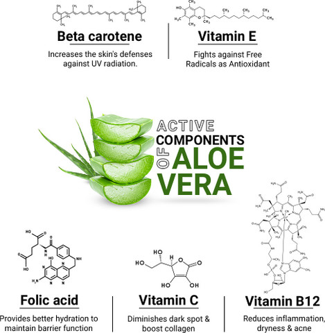KEYA SETH AROMATHERAPY Aloe Vera Gel Moisturizer with Vitamin A, B & C-  Repairing, Soothing, Glowing & Radiant Skin- Ultimate for Skin & Hair-  Paraben free Non- Sticky Refreshing & Hydrating Gel