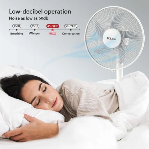 Zain Rico Fan Rico Fan with Auto Oscillation |Type-C Charging | 3-Speed Settings ...