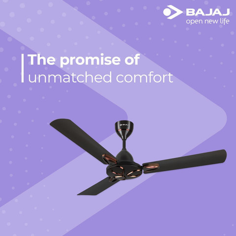 BAJAJ Novella (Elegant Brown, 251706) with 1 Year Warranty 1200 mm