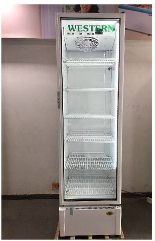 WESTERN 453 L Single Door Upright Freezer Price in India - Buy