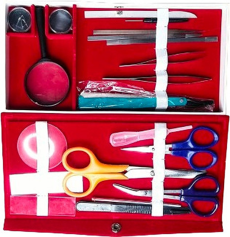 Flipkart.com | GRIPEX SCHOLAR DISSECTION INSTRUMENT | BIOLOGY BOX