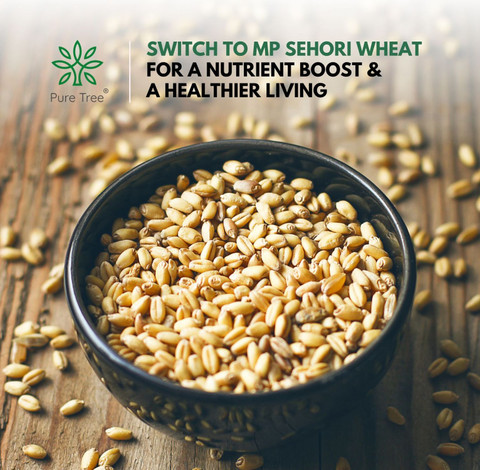Gehu Tree Pure Tree Certified Organic Wheat MP Sehori Whole Wheat | Gehu | MP ...