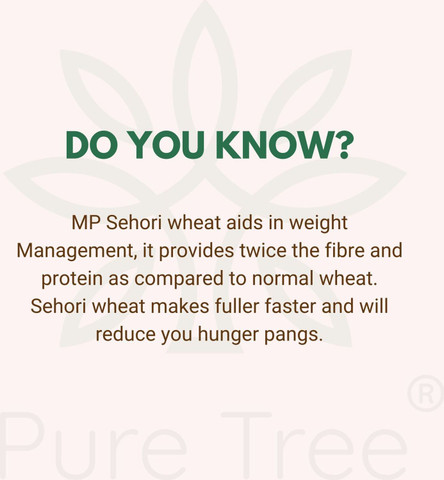 Gehu Tree Pure Tree Certified Organic Wheat MP Sehori Whole Wheat | Gehu | MP ...
