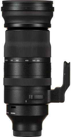 SIGMA 150-600mm f/5-6.3 DG DN OS Sports for Sony E Telephoto Zoom