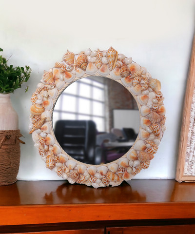 シェルの鏡 JUNERUSH Artisanal Round Mirror with Mixed Sea Shell Frame 12 Inch