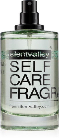Buy silent valley CREATING BALANCE WITH ALOE VERA & MINT Eau de Parfum -  100 ml Online In India | Flipkart.com