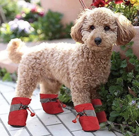PETANGEL Shoes for Dog Price in India - Buy PETANGEL Shoes for Dog