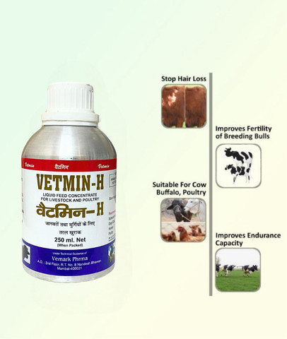 EOB Vitamin-H 250ML Combo Pack of 2 0.5 kg (2x0.25 kg) Wet Adult