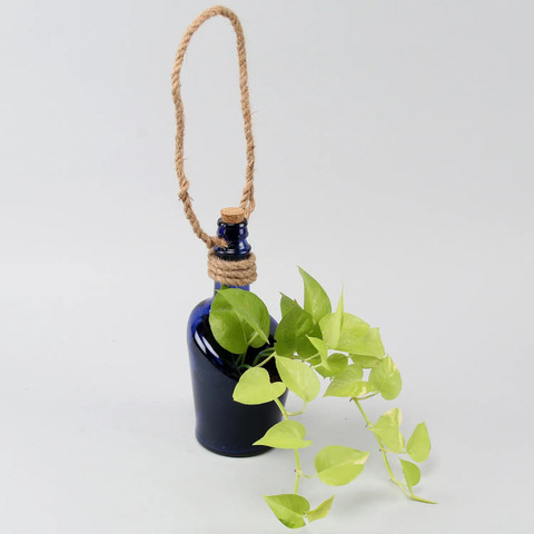 Indian Decoration Money plant antiquity bottle planter hanging