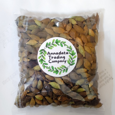 ATCSEEDS Terminalia Mantaly Plant Seed (Umbrella Tree) Seed Price in India  - Buy ATCSEEDS Terminalia Mantaly Plant Seed (Umbrella Tree) Seed online at  Flipkart.com
