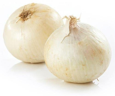 ♦︎konaya♦︎ KANAYA White Onion Vegewtable Seed Price in India - Buy KANAYA