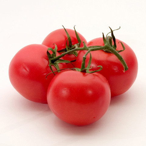 SREE Tomato seeds 100% Original tometo Seed Price in India - Buy