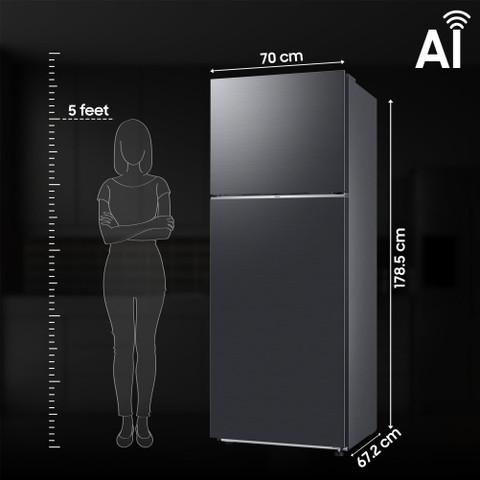 Samsung 415 L Frost Free Double Door 2 Star Refrigerator Online at