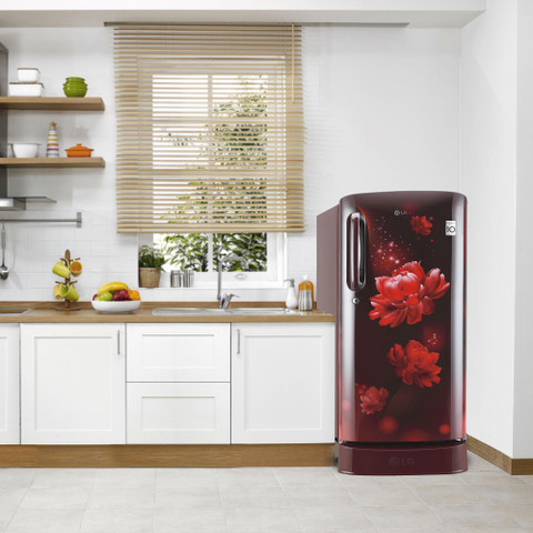 LG 224 L Direct Cool Single Door 4 Star Refrigerator with Base