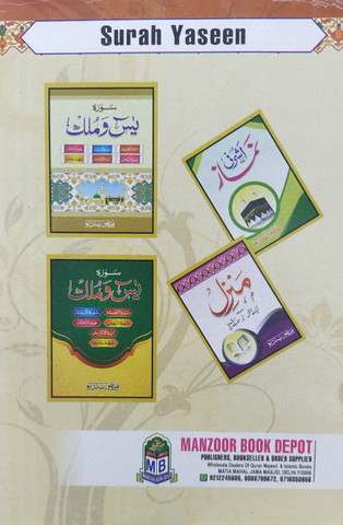 Surah Yaseen (Set Of 41 Pieces) | Size: 18cmx12cm (Small) | Pages
