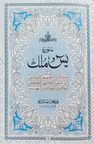 Mushuk suratini yuvish Mushuk suratini yuvish