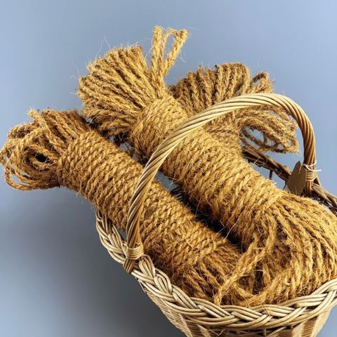 Ukrainada xususiy porno videolar Braziliyalik tranny pornosini tomosha qiling