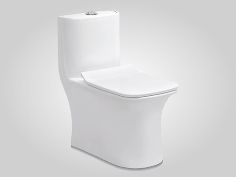 Eden /S TRAP/22cm OR 9inch/ Rimless/ 5D Swirl Siphonic Flush/Floor