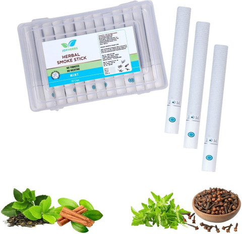 button cigarette JOYHERBS Herbal Cigarette 100% No Nicotine & No Tobacco 25/Pack (Mint (Switch  Button)) Smoking Cessations Price in India