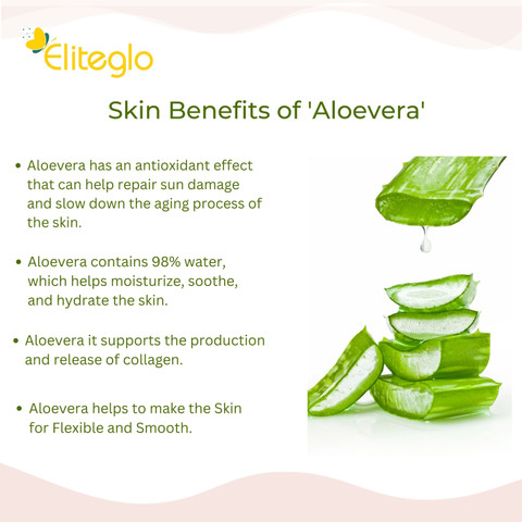 daily concepts soap sponge aloe vera Spongellé for EWC Aloe Body Buffer – European Wax Center main image 1