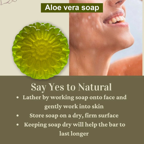 bavri Rejuvenating Aloe Vera Soap with Anti-aging Benefits for Youthful  Skin - Price in India, Buy bavri Rejuvenating Aloe Vera Soap with  Anti-aging Benefits for Youthful Skin Online In India, Reviews, Ratings