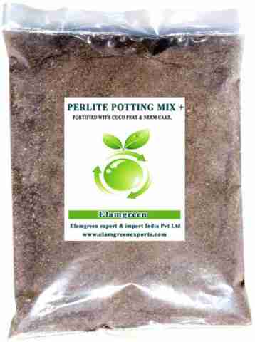 elamgreen Potting soil for succulents and cactus plants, Potting ...