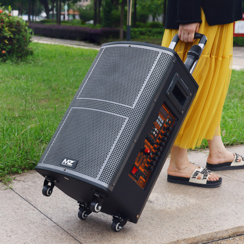 Buy MZ M445SP (PORTABLE KARAOKE SPEAKER) Dynamic Thunder Sound