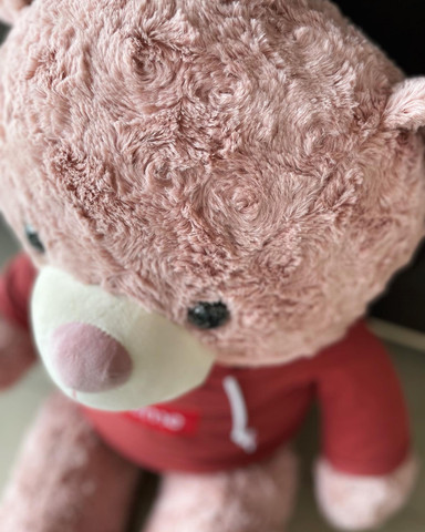 Buy Products Online at Best Price in India - All Categories