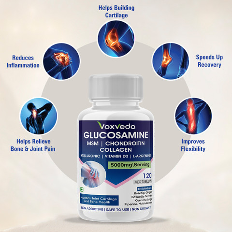 Scientists working in lab - cartilage research