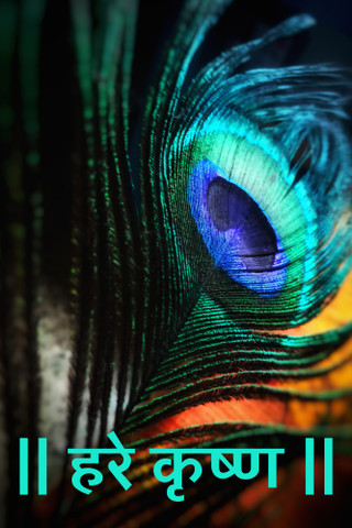 peacock feather krishna hd wallpaper