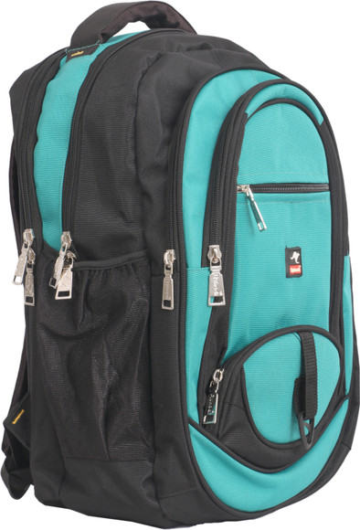 Rukadi Bag 20550 43 L Laptop Backpack Turquoise - Price in India
