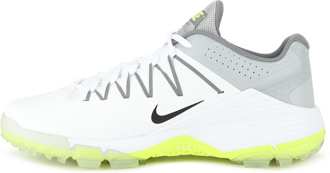 nike domain 2 ns cricket shoes new model