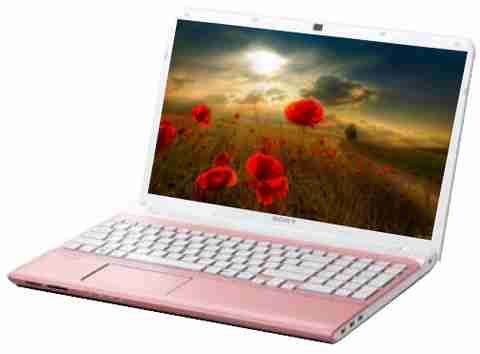 Sony VAIO E15126CN Laptop (3rd Gen Ci3/ 4GB/ 500GB/ Win8