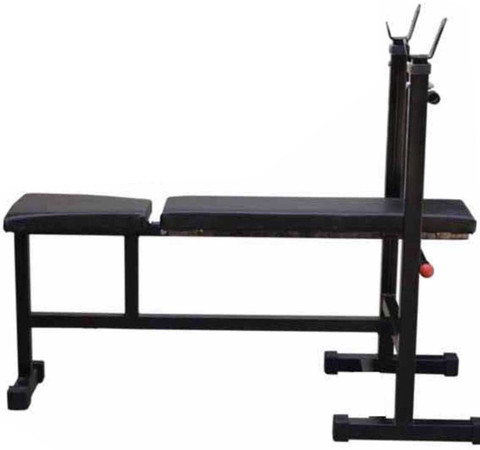 Protoner in Bench Multipurpose Fitness Bench