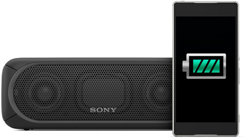 Buy SONY SRS-XB30 Portable Bluetooth Speaker Online from Flipkart.com
