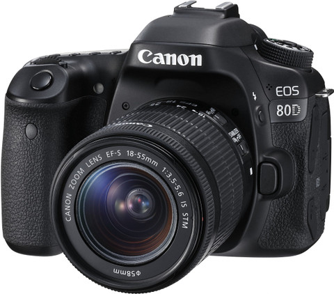 Canon EOS 80D DSLR Camera Body with Single Lens: EF-S 18-55 IS STM