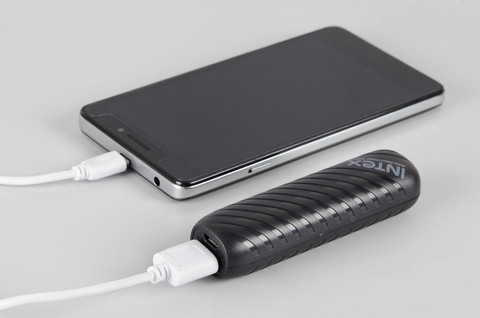 Intex 2000 mAh Power Bank - Main Image