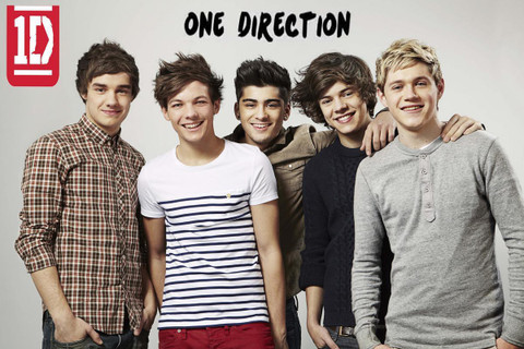 One Direction Poster POSTER PRINT ON 36X24 INCHES Photographic