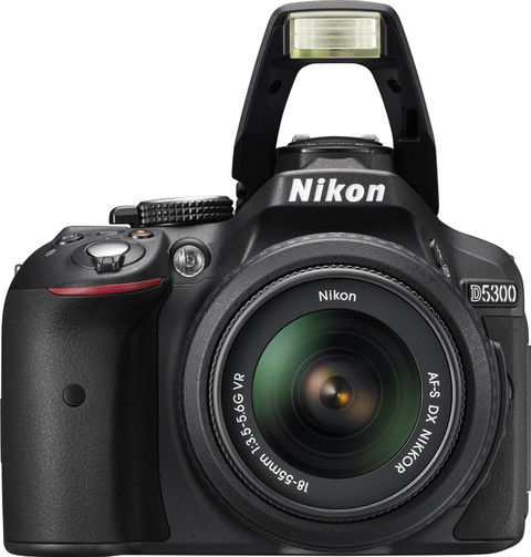 NIKON D5300 DSLR Camera Body with Dual Lens: AF-P DX NIKKOR 18