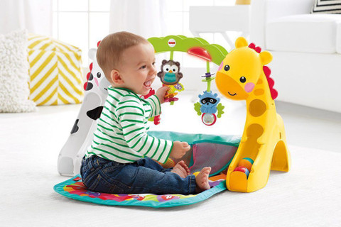 FISHER-PRICE Newborn to Toddler Play Gym Newborn to Toddler Play