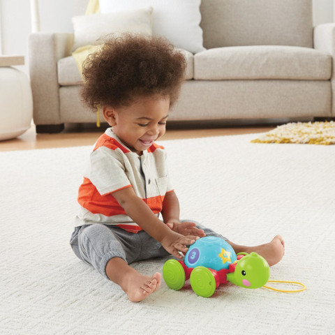 FISHER-PRICE Pull-Along Turtle Pull-Along Turtle Buy Turtle