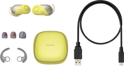 SONY WF-SP700N True Wireless Bluetooth Price in India - Buy