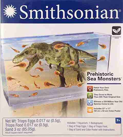 Smithsonian Prehistoric Sea Monsters Triops Eggs Kit - Prehistoric Sea  Monsters Triops Eggs Kit . Buy Superhero toys in India. shop for  Smithsonian products in India. | Flipkart.com